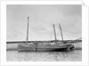 'Mary and Emily' (Br, 1922), at quayside, Newlyn by unknown