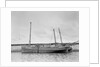 'Mary and Emily' (Br, 1922), at quayside, Newlyn by unknown