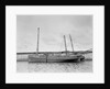 'Mary and Emily' (Br, 1922), at quayside, Newlyn by unknown