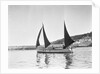 Mounts Bay pilot gig, under sail in Newlyn harbour, setting fore staysail and standing lugs with booms on fore and mizzen masts by unknown