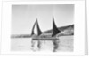 Mounts Bay pilot gig, under sail in Newlyn harbour, setting fore staysail and standing lugs with booms on fore and mizzen masts by unknown