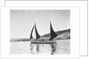 Mounts Bay pilot gig, under sail in Newlyn harbour, setting fore staysail and standing lugs with booms on fore and mizzen masts by unknown