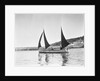 Mounts Bay pilot gig, under sail in Newlyn harbour, setting fore staysail and standing lugs with booms on fore and mizzen masts by unknown