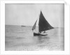 LI 70 under sail by Unknown