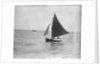 LI 70 under sail by Unknown