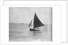 LI 70 under sail by Unknown