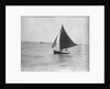 LI 70 under sail by Unknown