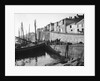 Newlyn, St Ives pilchard driver Godrevy [SS92] unloading a catch. by H. Oliver. Hill