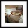 Modern convenience aboard a cruise liner: a female passenger reclines in bed whilst making a phone call; the ship and the conversation's content are unspecified by Marine Photo Service