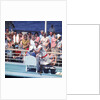 Comic hijinx aboard an unspecified cruise ship keeps the passengers entertained during the voyage - perhaps a variant of the Crossing the Line (the Equator) ceremony? by Marine Photo Service