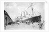 Cruise ships at Copenhagen, Denmark by Marine Photo Service