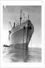 The 'Orcades' at anchor by Marine Photo Service
