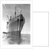 The 'Orcades' at anchor by Marine Photo Service