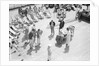 Dog Racing aboard the 'Viceroy of India' by Marine Photo Service