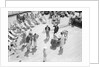 Dog Racing aboard the 'Viceroy of India' by Marine Photo Service