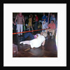 Passengers go under the limbo stick aboard the liner 'Gripsholm' by Marine Photo Service