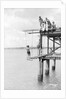 Passengers on a jetty in Barbados, Lesser Antilles by Marine Photo Service