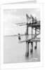 Passengers on a jetty in Barbados, Lesser Antilles by Marine Photo Service