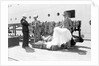 Stole and cape sellers, Cape Town, South Africa by Marine Photo Service