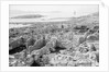 The ruins of the Temple of Apollo at Delos, Greece by Marine Photo Service