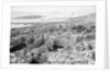 The ruins of the Temple of Apollo at Delos, Greece by Marine Photo Service