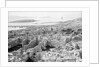 The ruins of the Temple of Apollo at Delos, Greece by Marine Photo Service