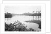 Panama Canal, Panama, 1935 by Marine Photo Service