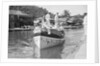 Tender arriving at St Lucia, Windward Isles, West Indies by Marine Photo Service