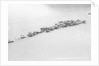 A herd of reindeer at Svartisen, Norway by Marine Photo Service