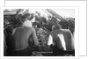 Divers looking through oysters by Alan Villiers