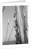 Kuwaiti sailors climbing aloft and working on the lateen yard by Alan Villiers