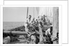 The 'Triumph of Righteousness' full of mangrove poles by Alan Villiers