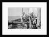 The 'Triumph of Righteousness' full of mangrove poles by Alan Villiers