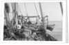 'Triumph of Righteousness' bound for Bahrain with her cargo of mangrove poles by Alan Villiers