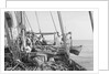 'Triumph of Righteousness' bound for Bahrain with her cargo of mangrove poles by Alan Villiers