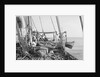 'Triumph of Righteousness' bound for Bahrain with her cargo of mangrove poles by Alan Villiers
