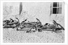Anchors awaiting a buyer by Alan Villiers
