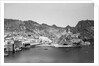 Muscat coastline by Alan Villiers