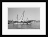 A large baggala in Mutrah harbour by Alan Villiers