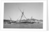 Indian dhows lying at anchor at Mutrah by Alan Villiers