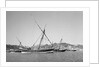 Indian dhows lying at anchor at Mutrah by Alan Villiers