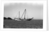 The 'Triumph of Righteousness' at anchor by Alan Villiers