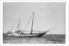 The 'Triumph of Righteousness' at anchor in Manama roads, Bahrain by Alan Villiers