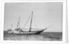 The 'Triumph of Righteousness' at anchor in Manama roads, Bahrain by Alan Villiers