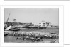 Manama waterfront by Alan Villiers