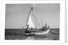 The 'Sheikh Mansur' under sail by Alan Villiers