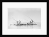 Imported ship-building timbers were poled from dhow to boatyard by Alan Villiers