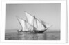 A boom under full sail by Alan Villiers