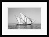 A boom under full sail by Alan Villiers
