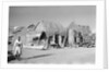 Jizan market with 'ushshah' houses by Alan Villiers